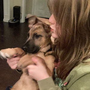 Meet your Posher, Kinsley